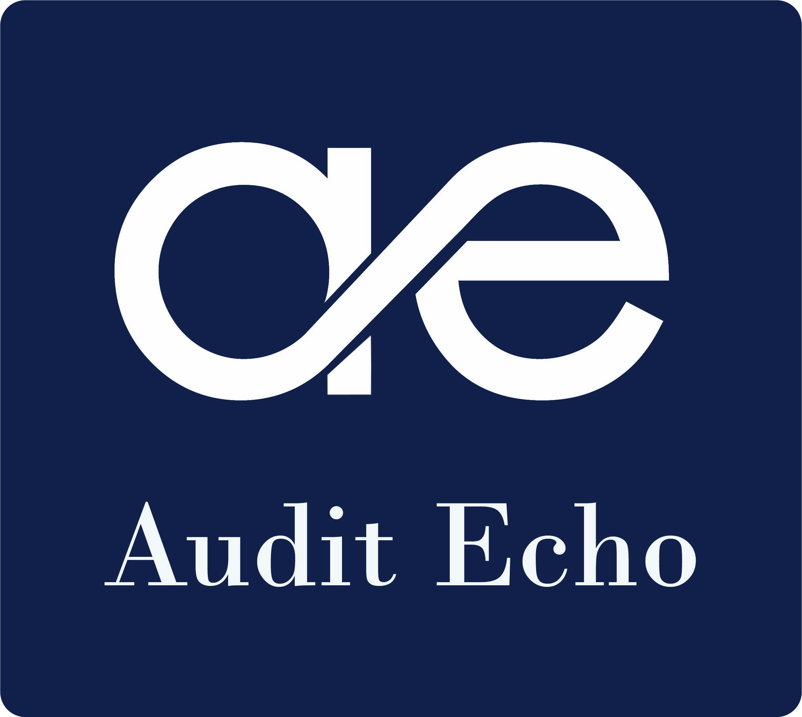 Audit Echo Logo